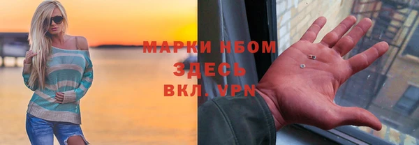 хмурый Абаза