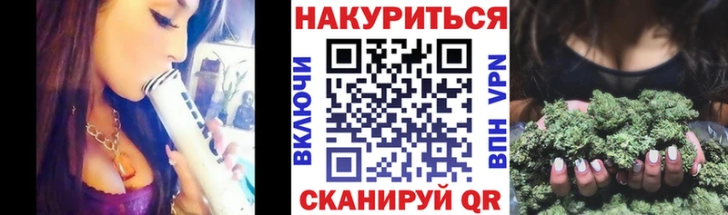 Шишки марихуана гибрид  купить наркотики сайты  Новопавловск 
